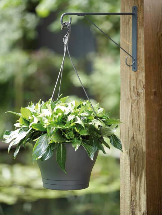 wandhaak elegant 30cm antraciet